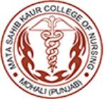 B.Sc (Nursing)