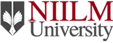 NIILM University logo