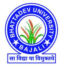 Bhattadev University