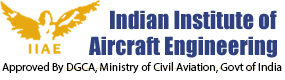 Indian Institute of Aircraft Engineering -[IIAE] logo