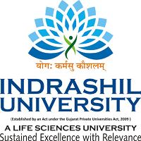 Indrashil University Rajpur