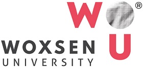 Woxsen School of Arts and Design