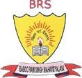 Babu Ram Singh Mahavidyalaya logo