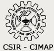 Central Institute of Medicinal and Aromatic Plants - [CIMAP]