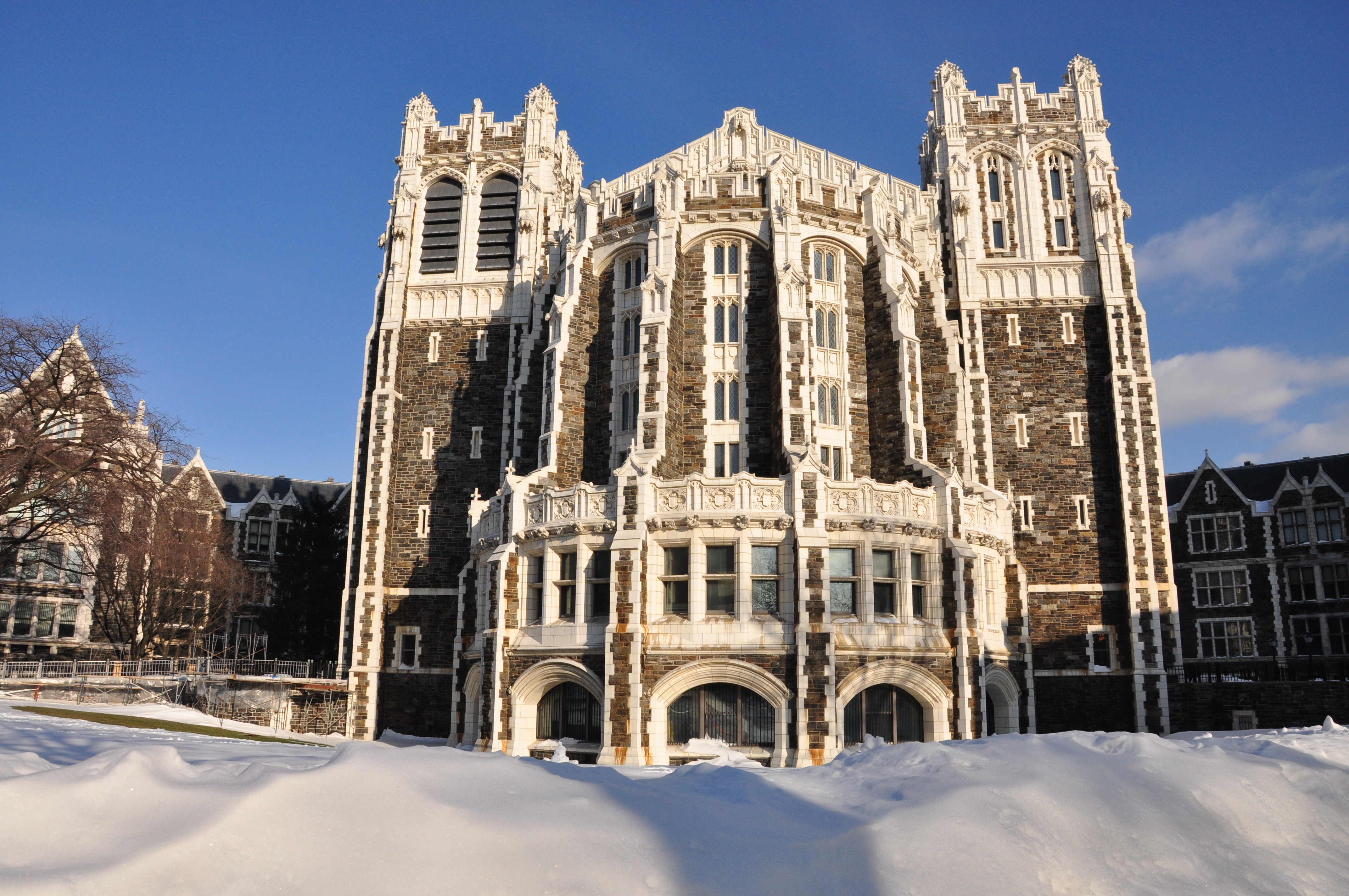 New York City College of Technology banner