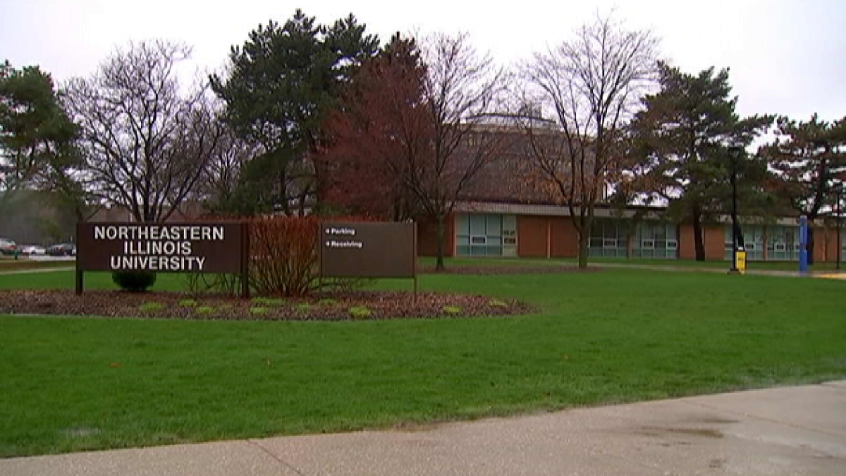 Northeastern Illinois University banner