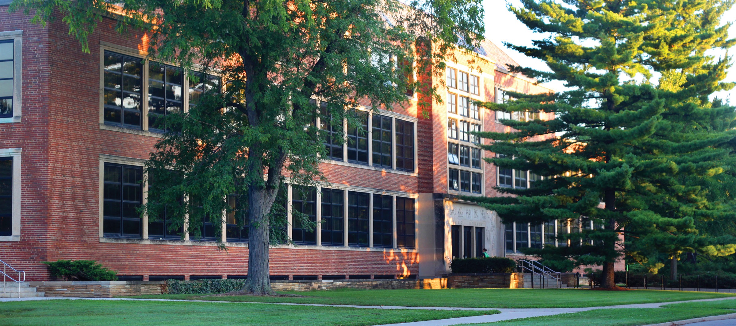 Michigan State University banner