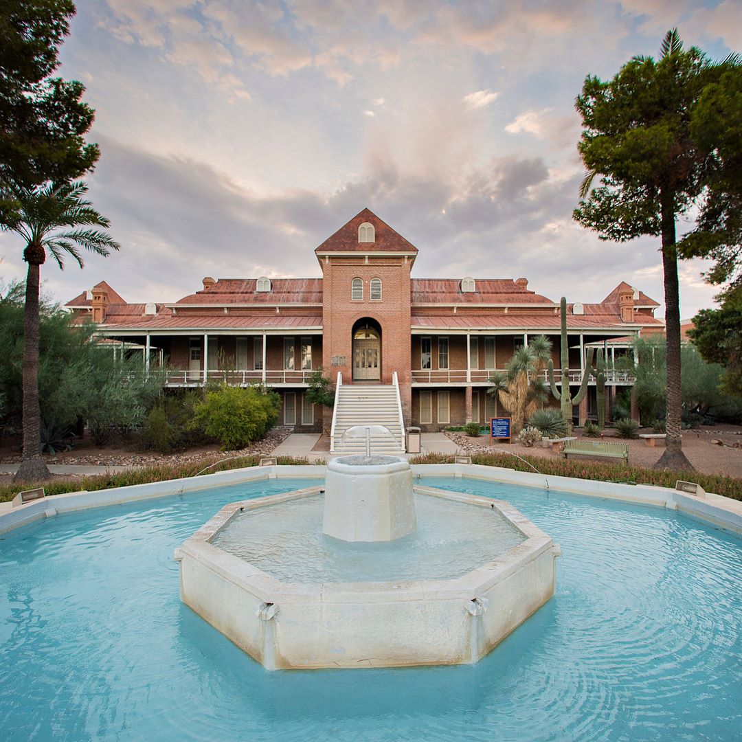 University of Arizona banner