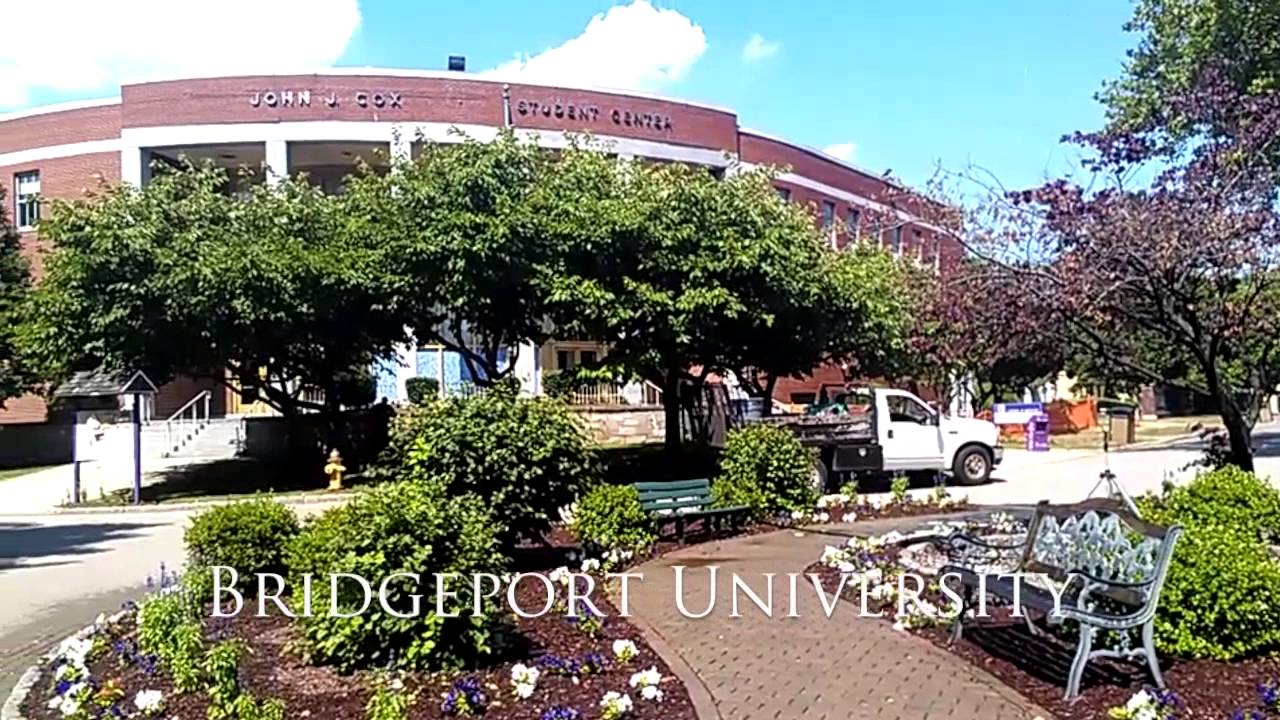 University of Bridgeport banner