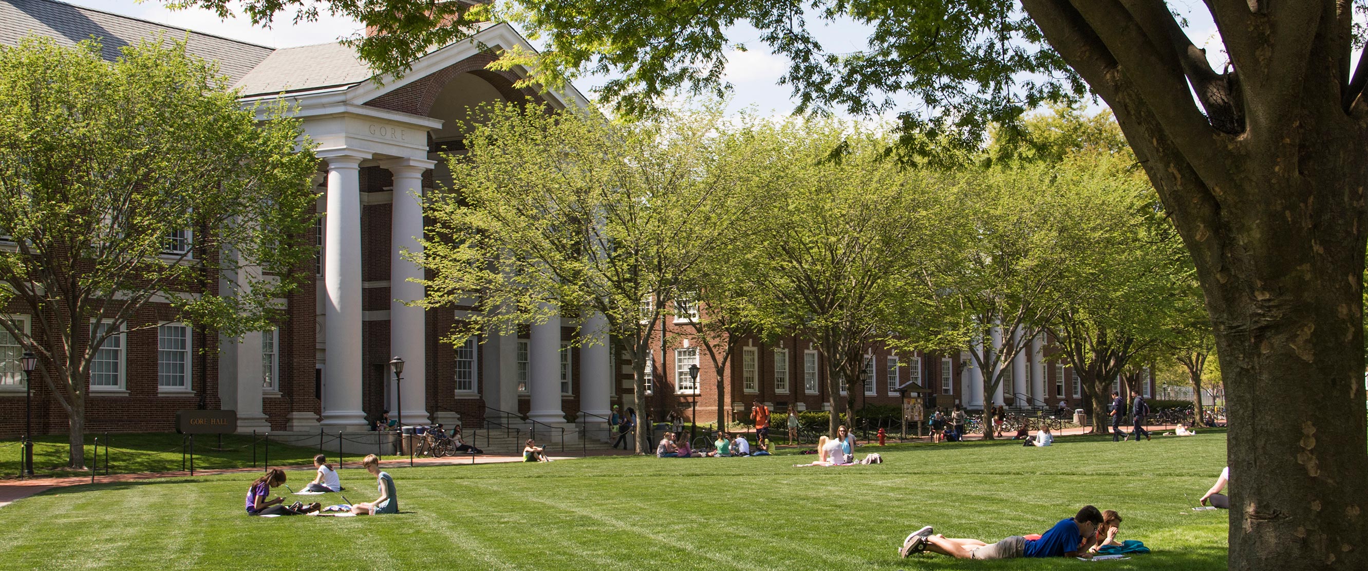 University of Delaware banner