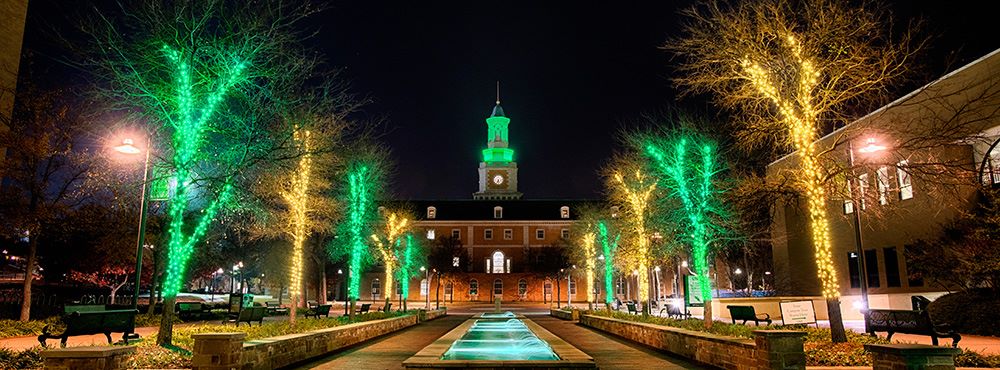 University of North Texas banner