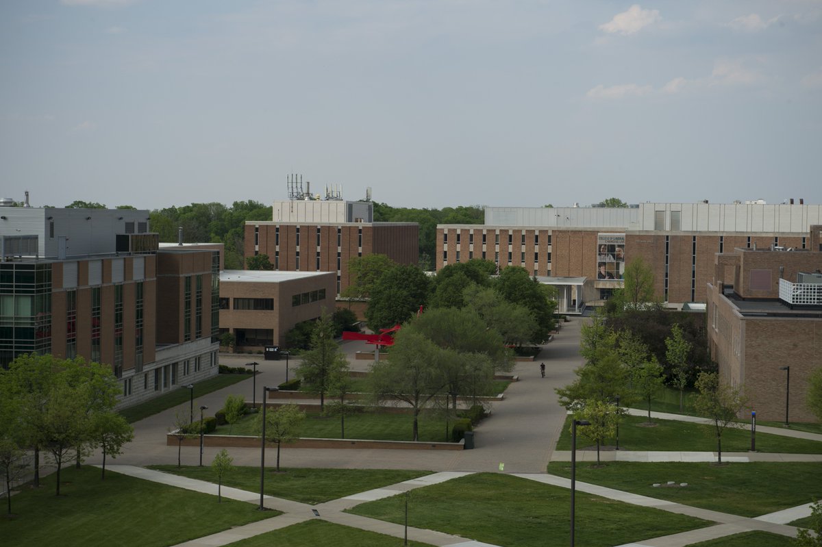 Wright State University banner