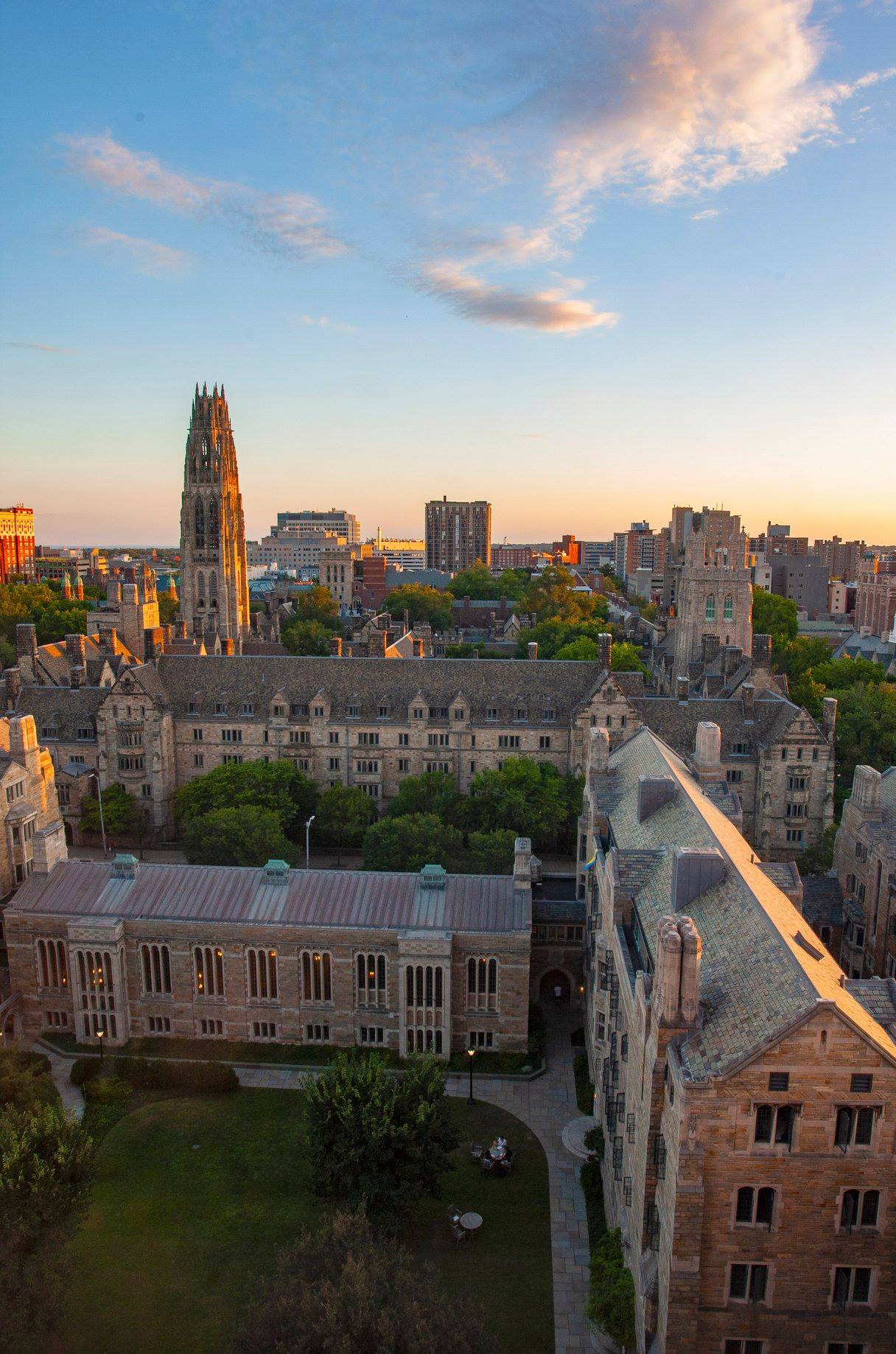 Yale University banner