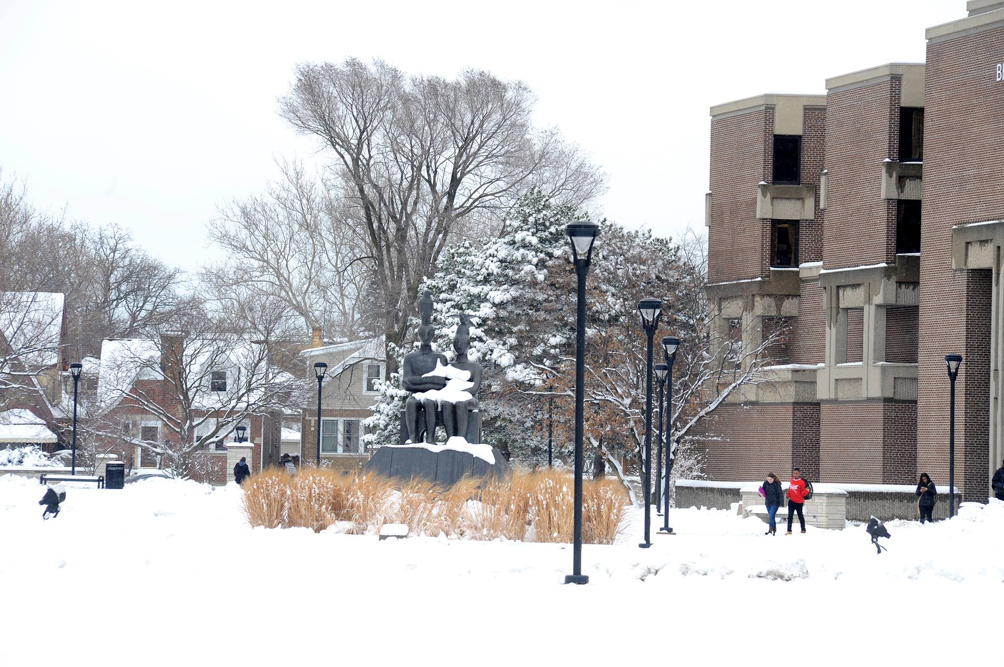 Northeastern Illinois University 20232024 Admissions Acceptance Rate