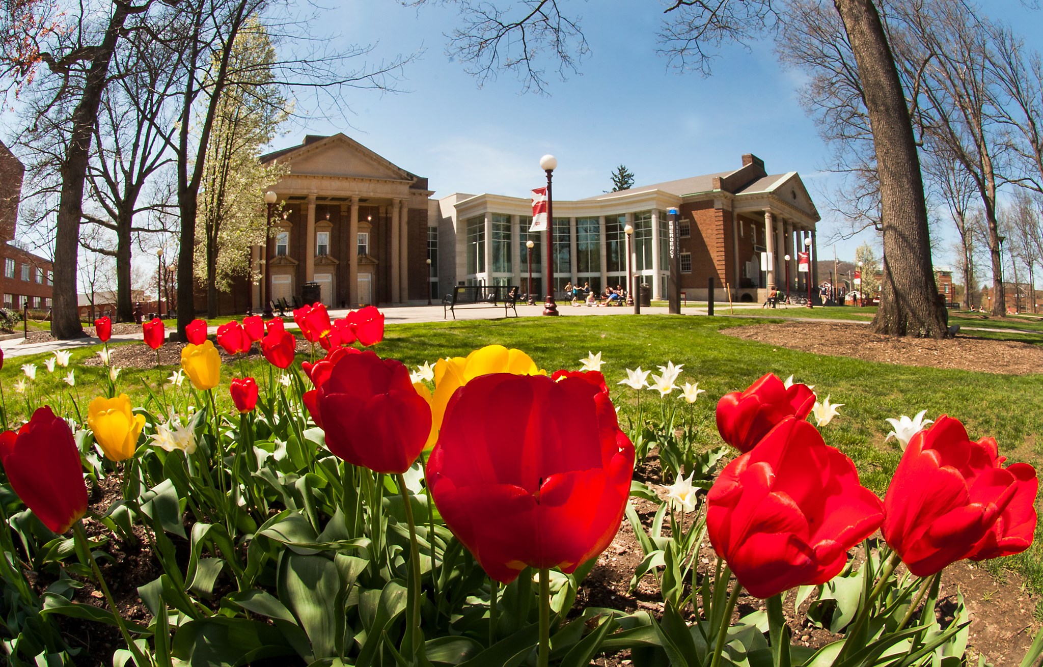 indiana-university-of-pennsylvania-rankings-courses-admissions