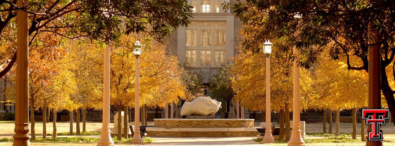 Texas Tech University Courses and Fees 2025