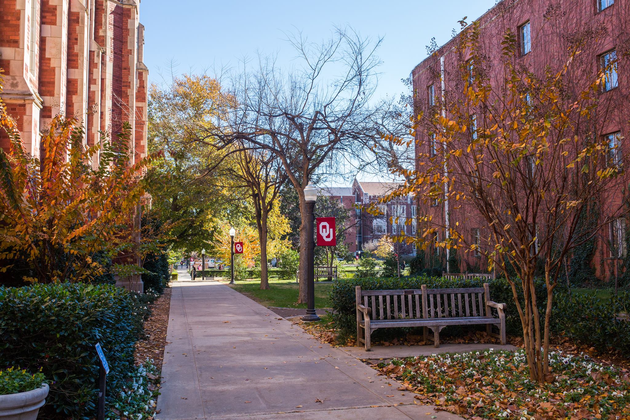 University Of Oklahoma Admission Application Fees Deadlines Acceptance Rate And Requirements