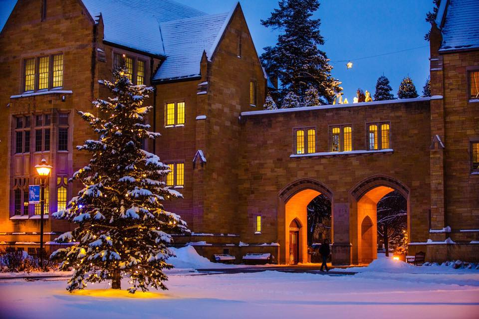 University of Saint Thomas Saint Paul: Fees 2025, Scholarships