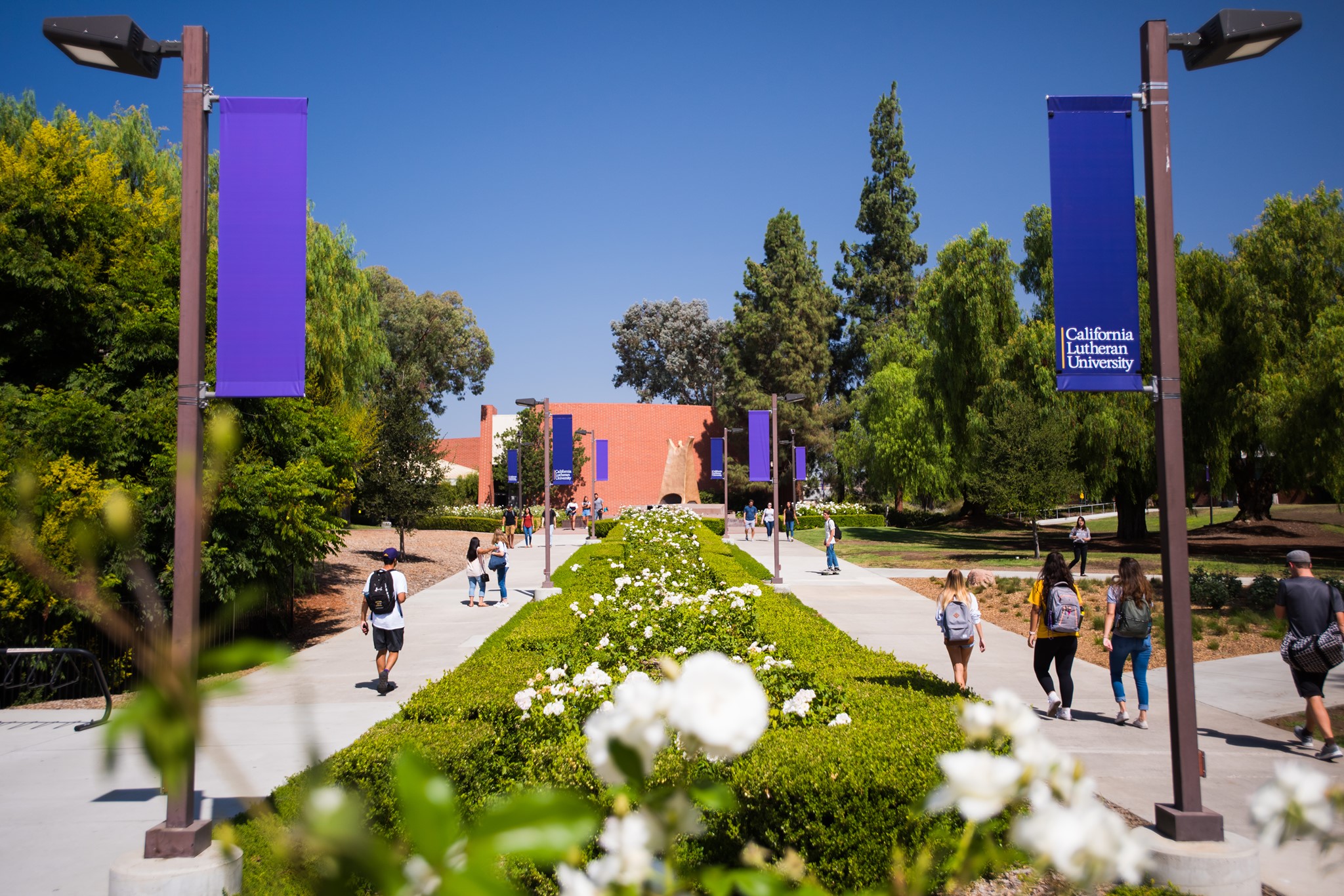 California Lutheran University Programs Tuition fees, Ranking