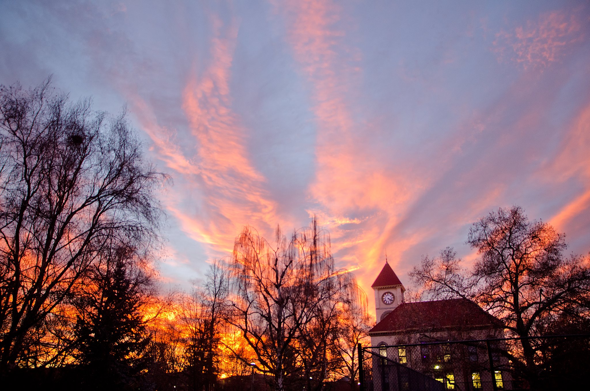 Whitman College Admissions: Acceptance Rate, Requirements, Deadlines ...