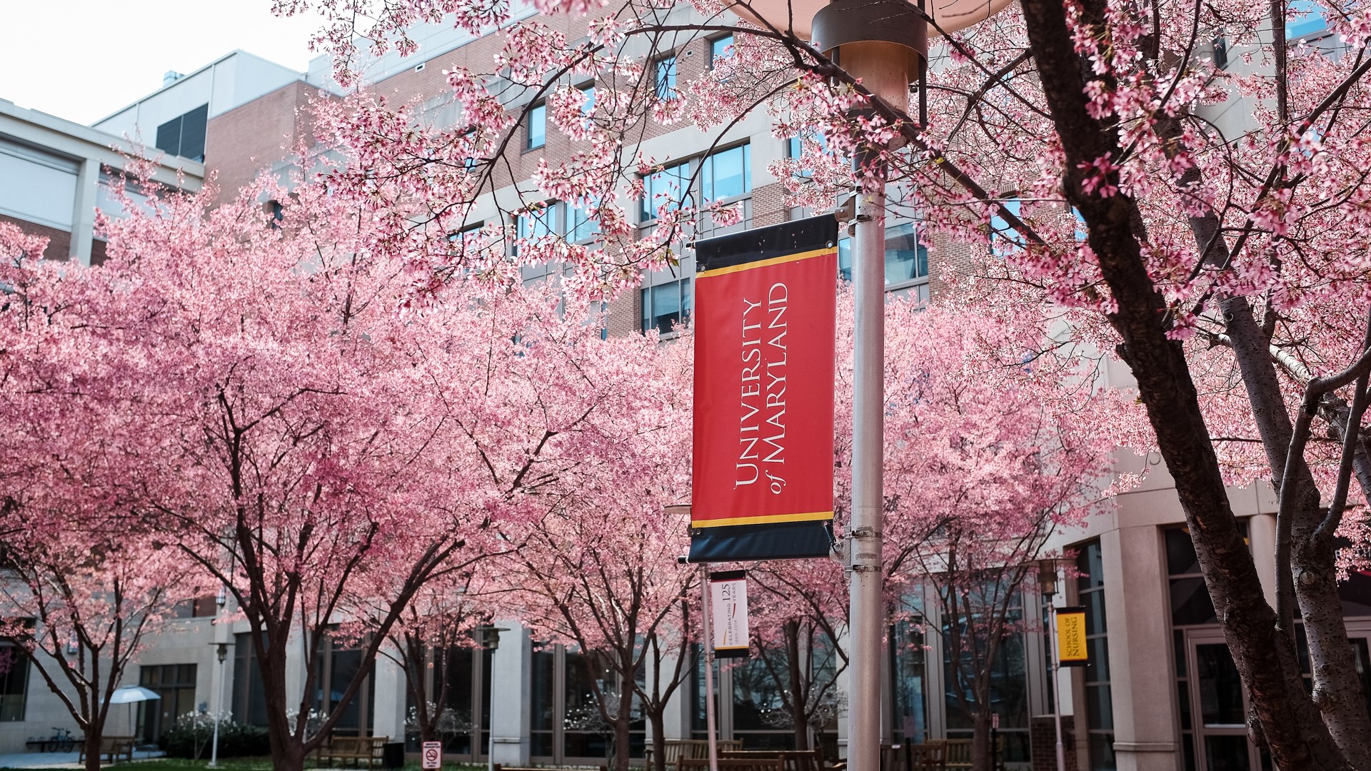 University of Maryland Baltimore Admissions 2024 Deadlines, Admission