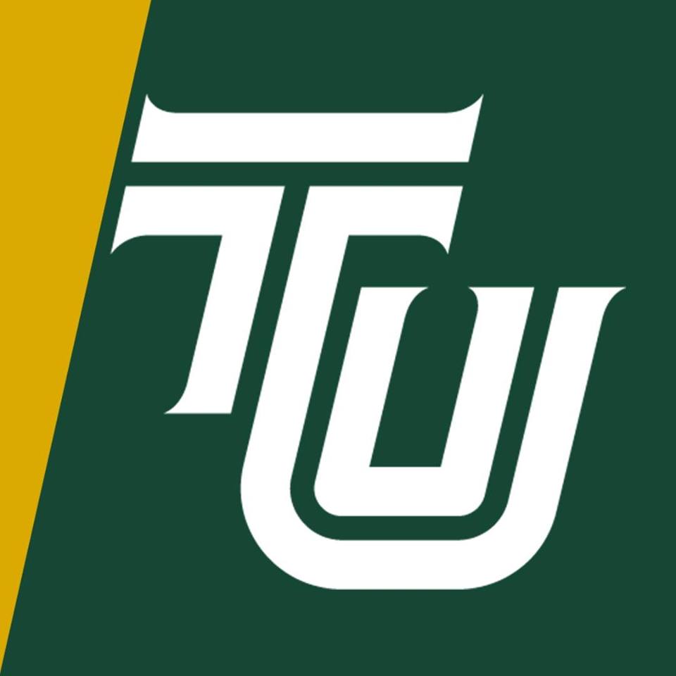 Tiffin University logo