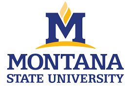 Montana State University logo