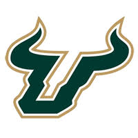 USF-Petersburg logo