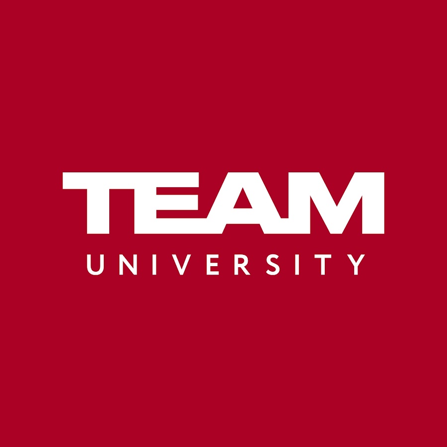 TEAM University Tashkent logo