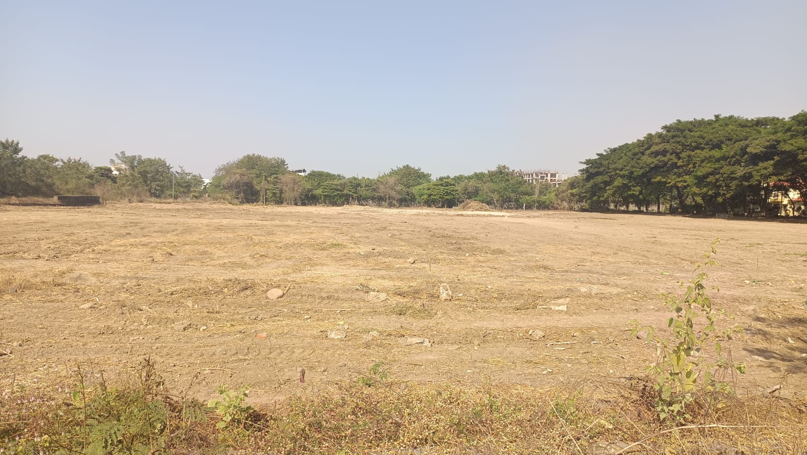 NFSC Nagpur Playground media (12) by 1770041854_43ff774d-ada7-4074-926b-828b59fb4fdd.jpg