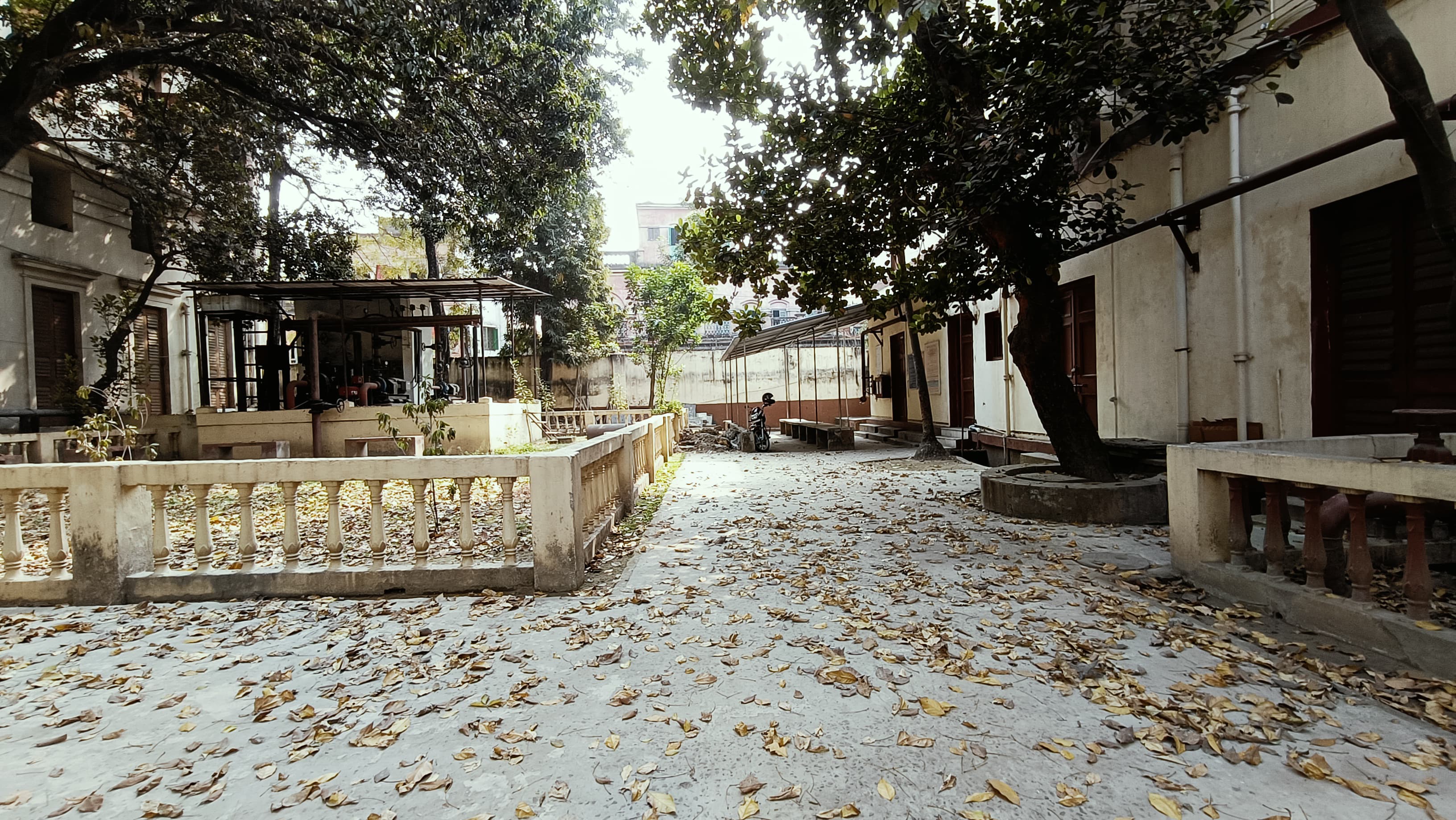 Scottish Church College Kolkata Others media (13) by 1770043867_campus.jpg