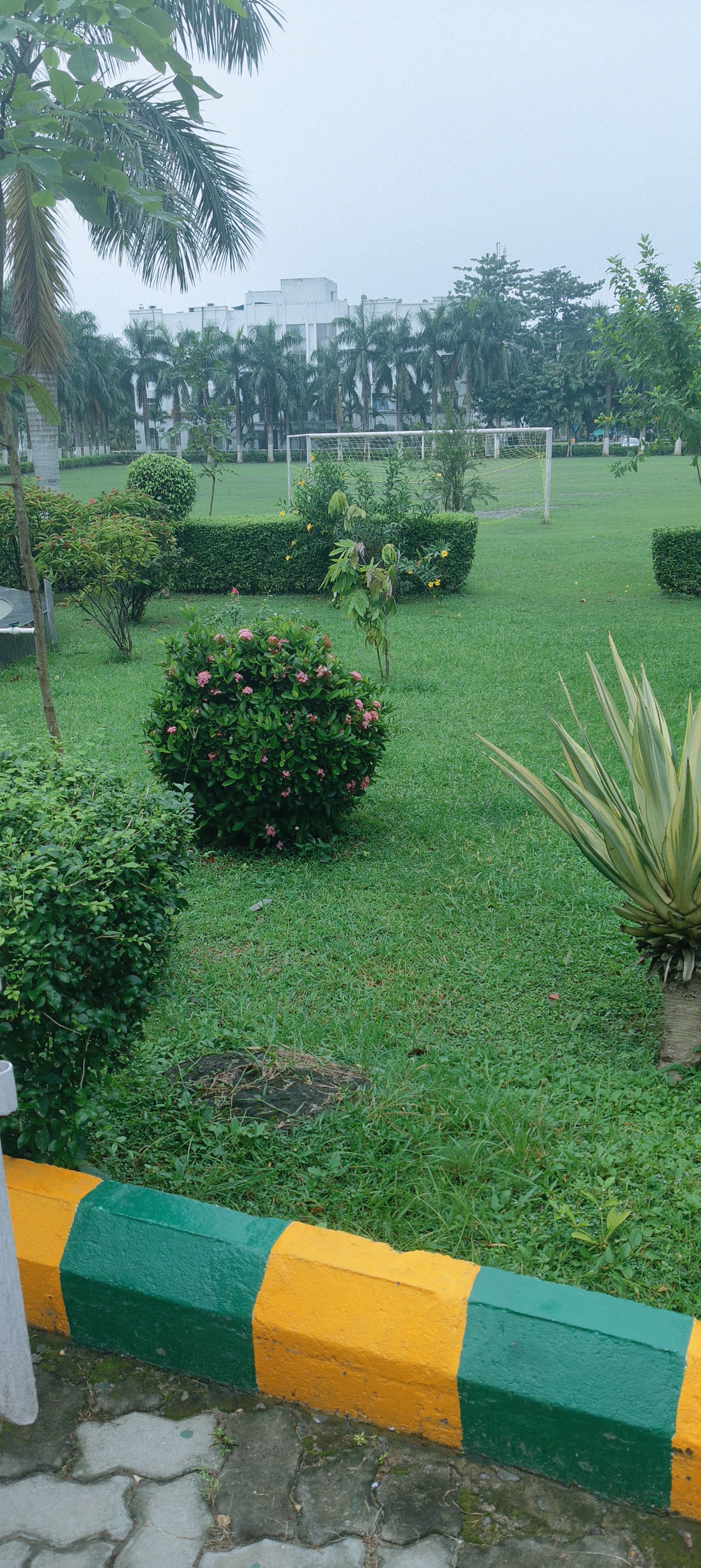 Adamas University Kolkata Playground media (9) by 1770044178_IMG20250920153126-AYUSHMISHRA.jpg