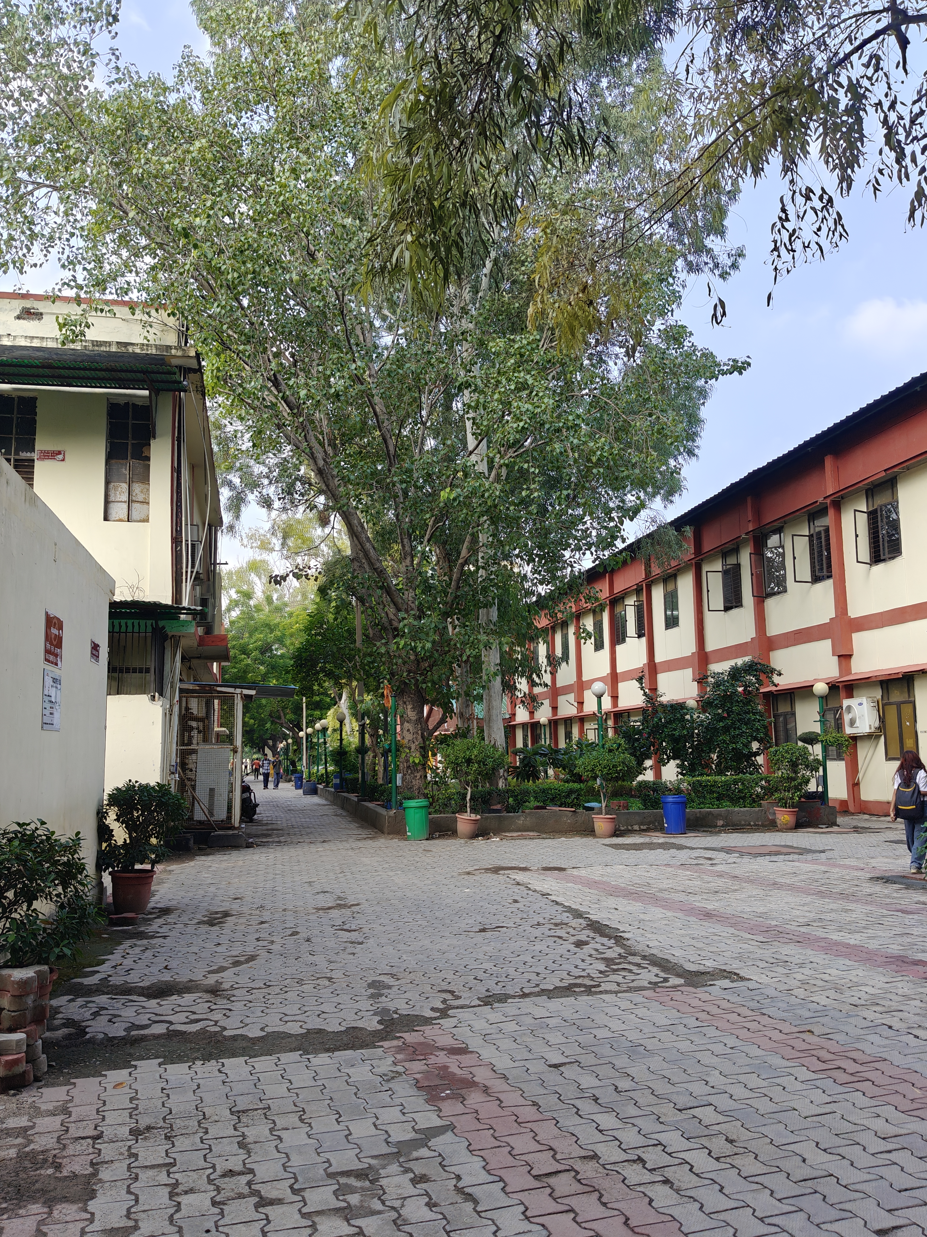 Shyam Lal College Academic Block- Main Building media (5) by 1770044403_Academicbuilding.jpg