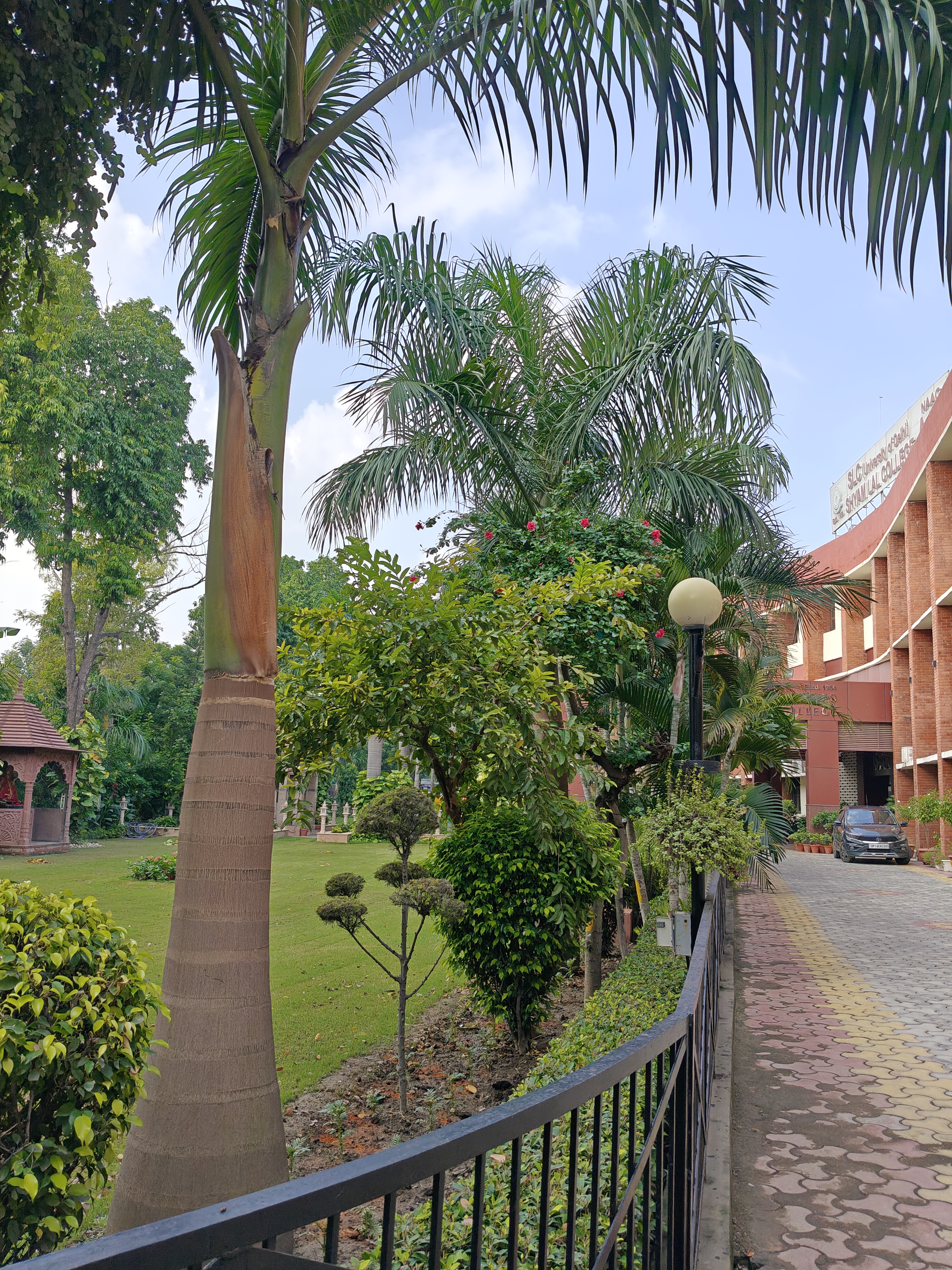Shyam Lal College Others media (9) by 1770044414_pathway(2).jpg