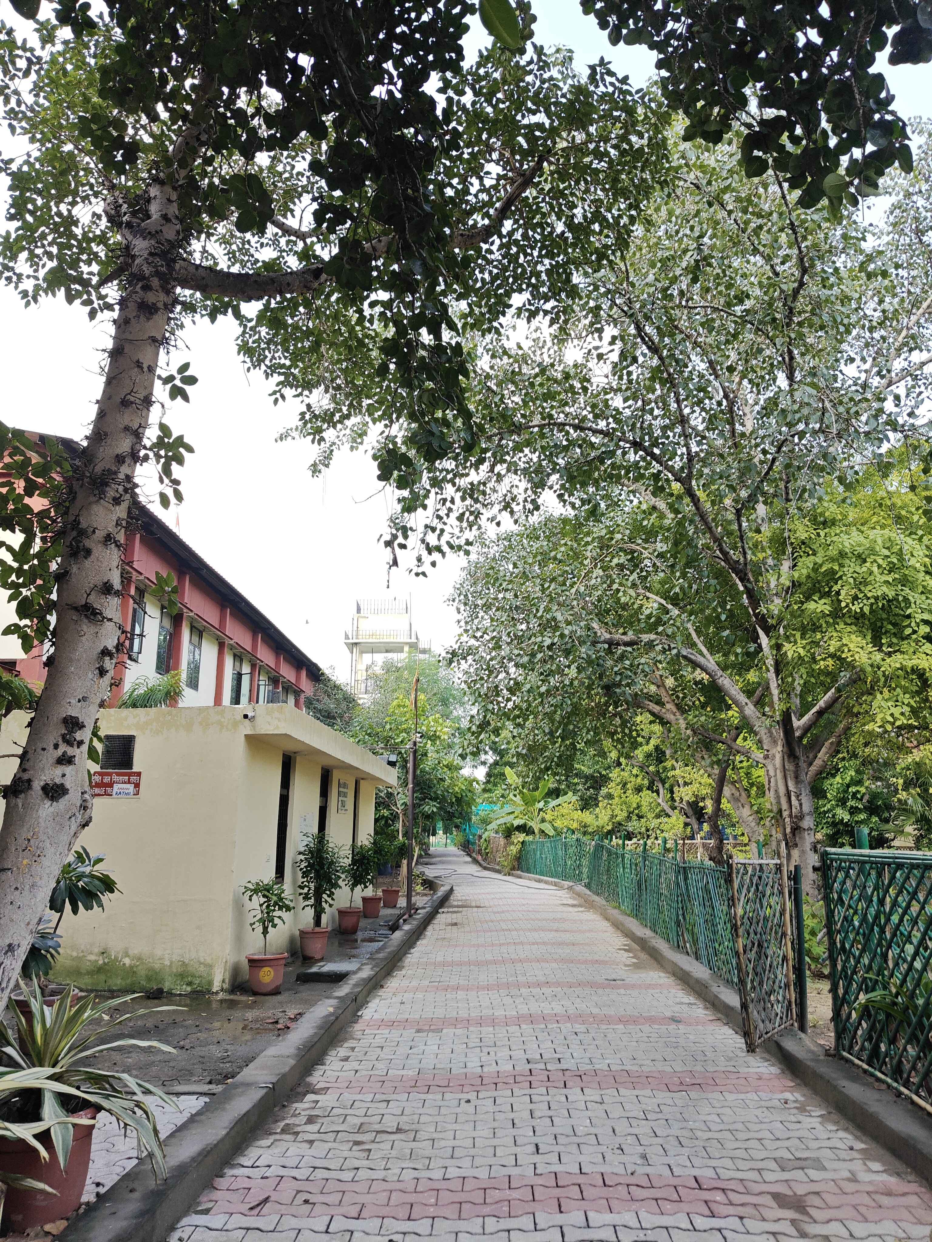 Shyam Lal College Others media (8) by 1770044414_pathway.jpg