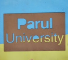 Parul University: One of the Top 50 Private Universities in India For Leading Innovation Achievements