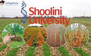 Shoolini researchers develop a model to grow 2 crops from different seasons