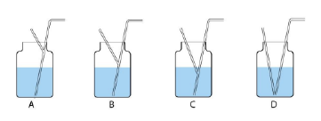 straw(s)