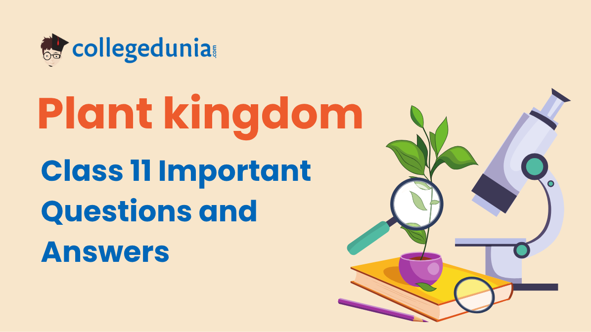 Plant Kingdom Class 11 Important Questions and Answers Biology