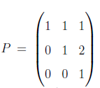 matrix P