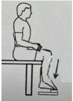 *(Picture of Isotonic Ankle Plantar Flexion)*