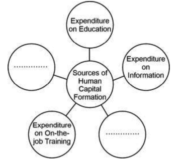 Human Capital Formation