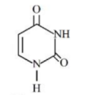 [Image of uracil chemical structure present]