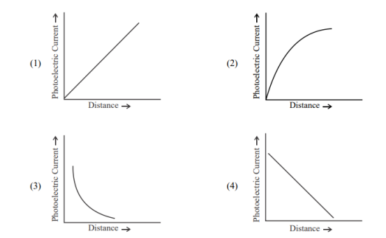 Graph Options