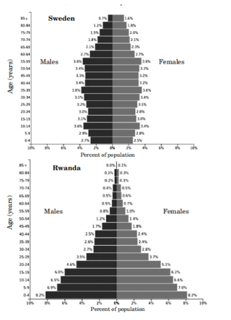 Age Distribution
