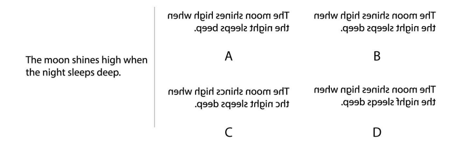 Mirror image of sentence