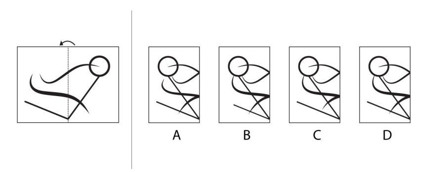 Folding image