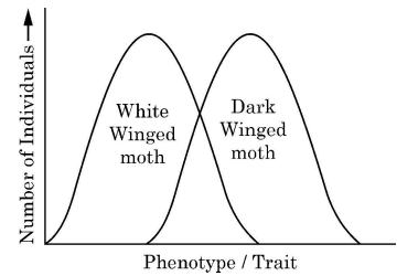 [Graph depicting Directional Selection]