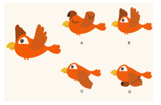Bird flying animation