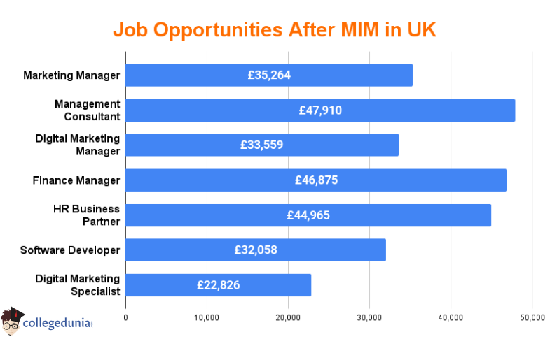 jobs_after_mim_in_uk